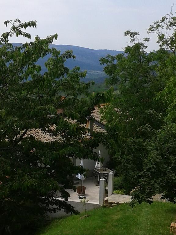 Apartment Bella Vista 2 Buzet Eksteriør bilde